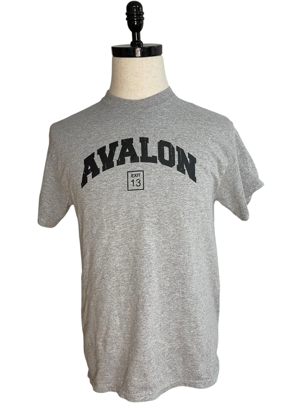 Avalon New Jersey Graphic Tee “Exit 13” Detail Gray